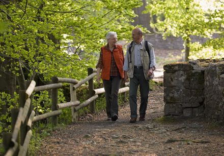 Wandererlebnis Hermannshöhen - Foto: Bad Driburger Touristik GmbH 