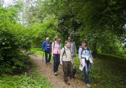 Bad Driburger Touristik GmbH | Arboretum Wandergruppe