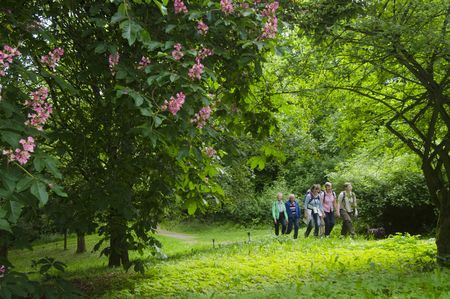 Wanderer auf dem Sachsenring im Aboretum, Foto: Bad Driburger Touristik GmbH