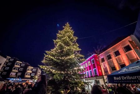 Große Tanne auf dem Bad Driburger Adventsmark