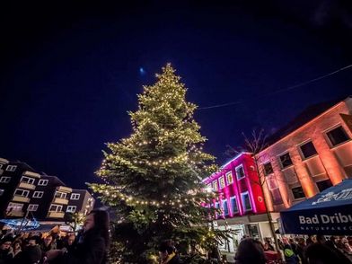 Große Tanne auf dem Bad Driburger Adventsmark