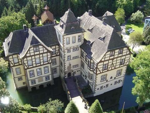 Luftaufnahme des Wasserschloss Heerse im Ortsteil von Bad Driburg